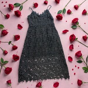 Express Black Lace Backless Dress